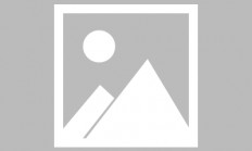 米兰真人-雄鹿队韦德重返球场圆满结束生涯的简单介绍