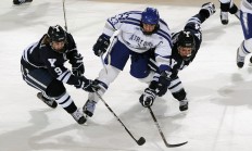 米兰体育-范弗利特破冰封锁，奇才用团队防守冻结灰熊