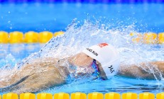 米兰体育app入口-赛道颠覆，哈斯车队横扫威廉姆斯，维斯塔潘关键制胜改写F1格局