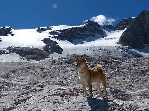 绿茵场上的战争隐喻,当乌克兰坚韧对阵皇马银河,加克波诠释何为稳定输出