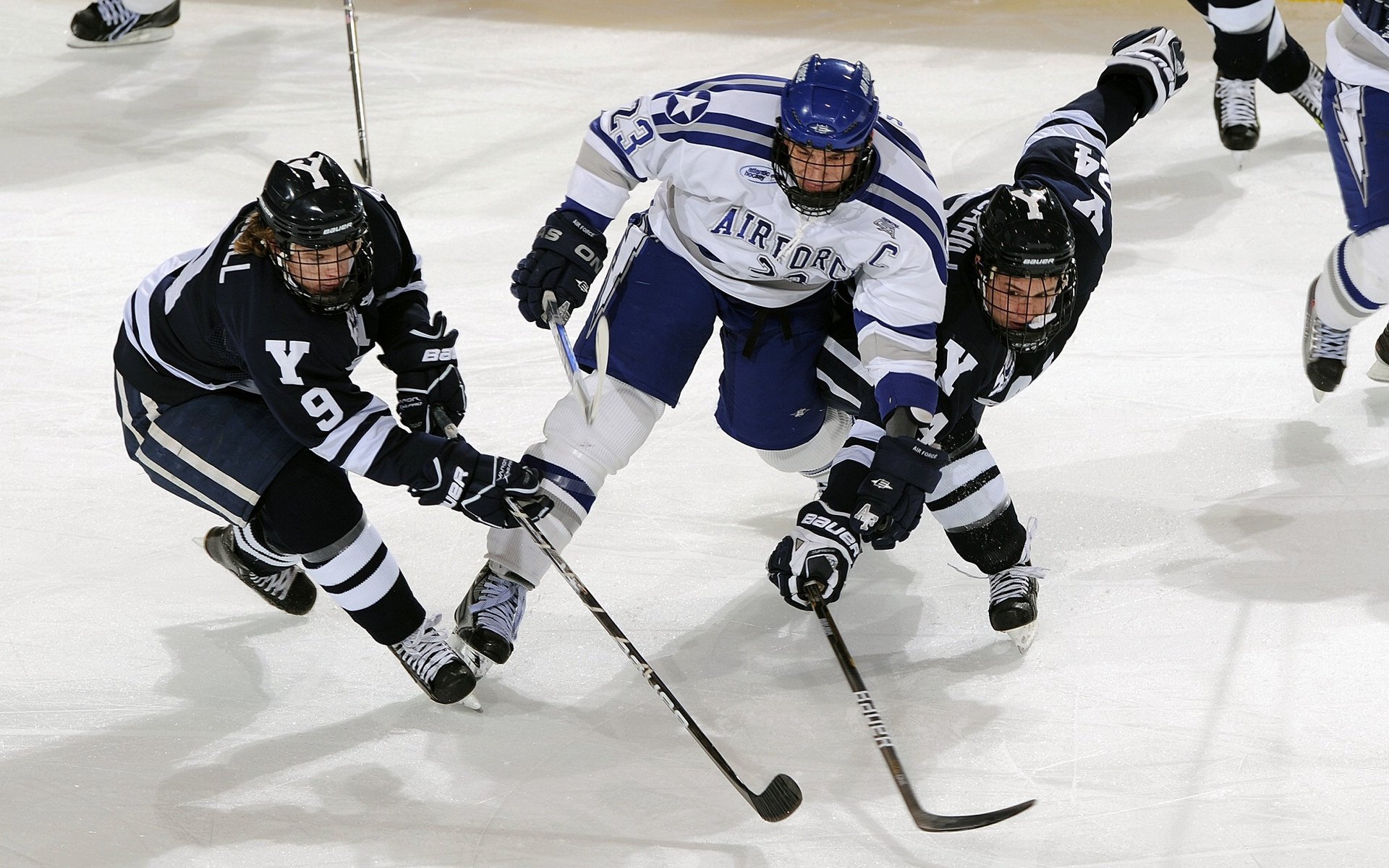 范弗利特破冰封锁，奇才用团队防守冻结灰熊